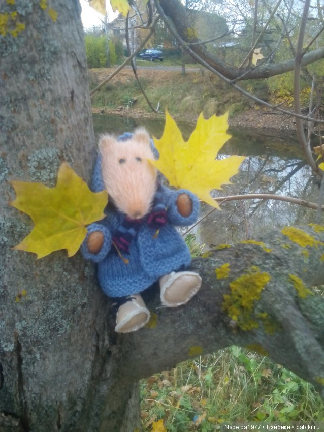 Сегодня ровно 2 года как я на Бейбиках