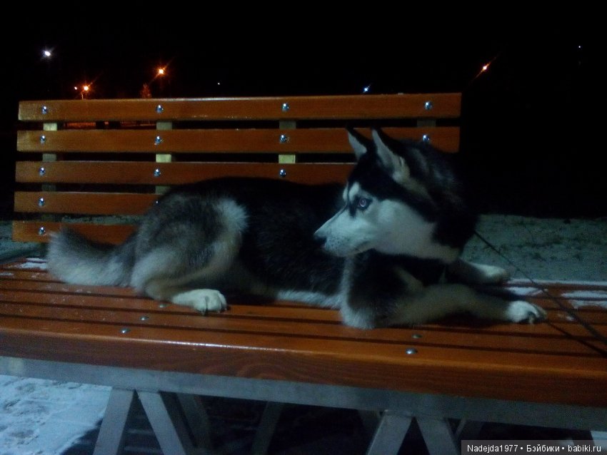 Сегодня ровно 2 года как я на Бейбиках