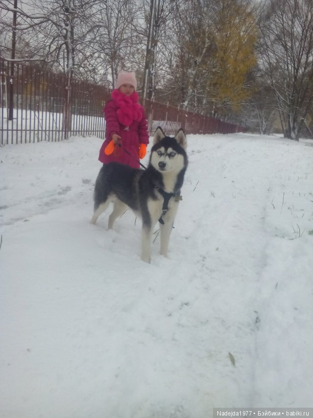 Сегодня ровно 2 года как я на Бейбиках