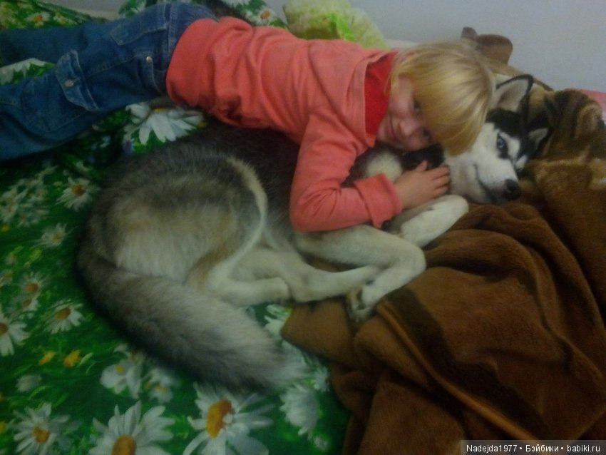 Сегодня ровно 2 года как я на Бейбиках