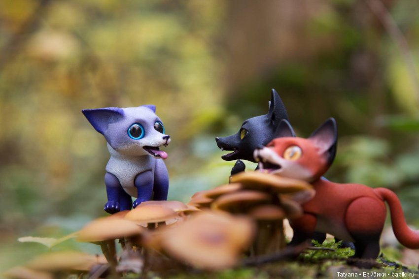 Лисички у Walloya Morring (фото 2)