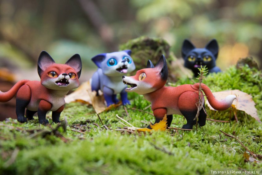 Лисички у Walloya Morring