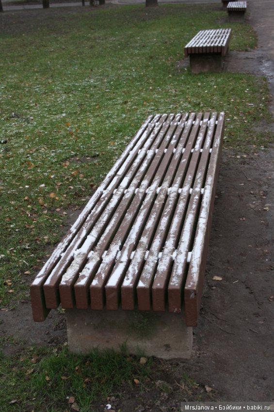 С первым снегом — Красивая природа и цветы: фото пейзажей