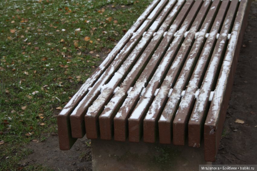 С первым снегом — Красивая природа и цветы: фото пейзажей