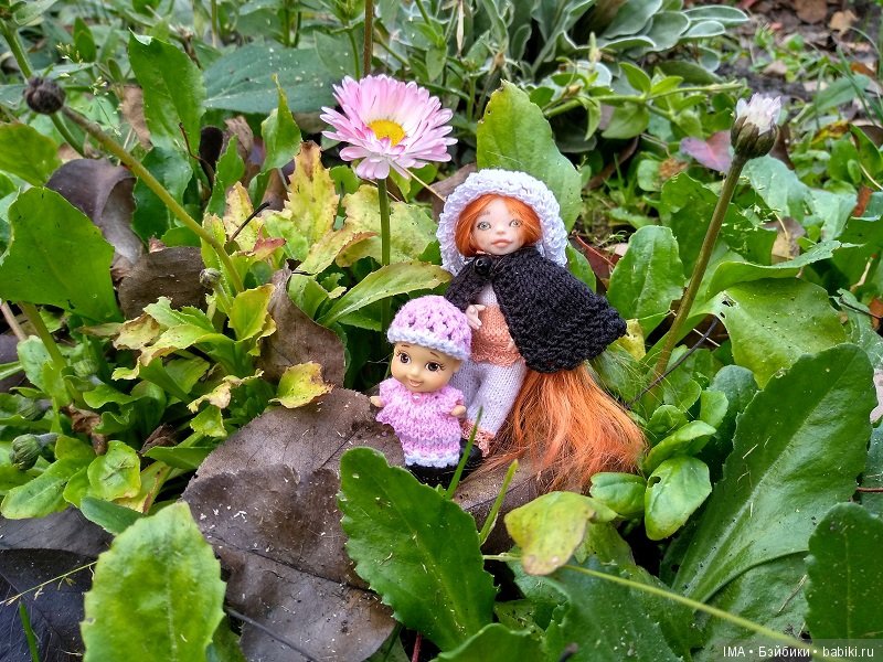 Мои крошки проводили осень (фото 8)