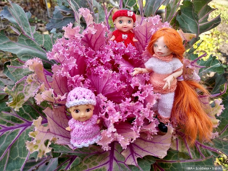 Мои крошки проводили осень (фото 3)