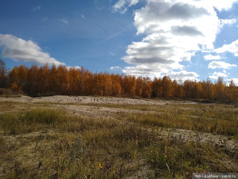 Мои крошки проводили осень