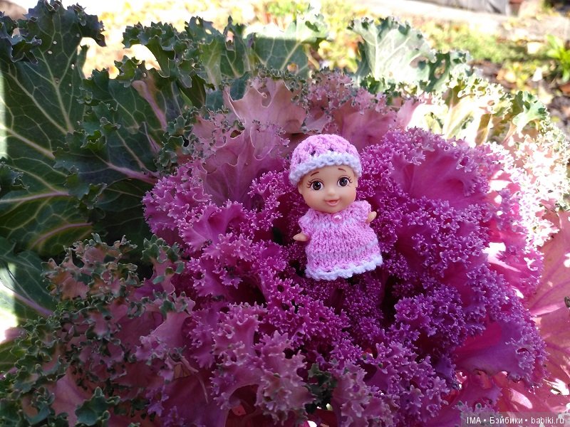 Мои крошки проводили осень