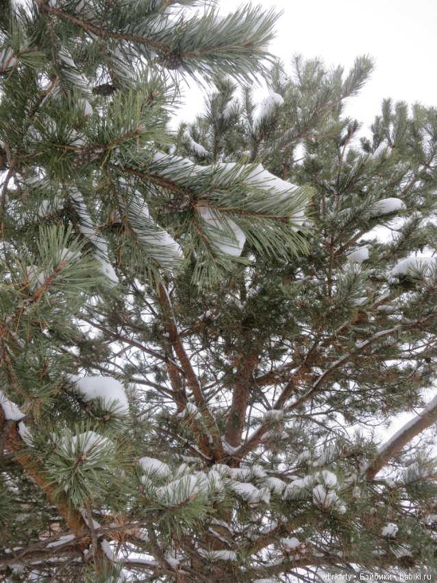 У природы нет плохой погоды...на прогулке