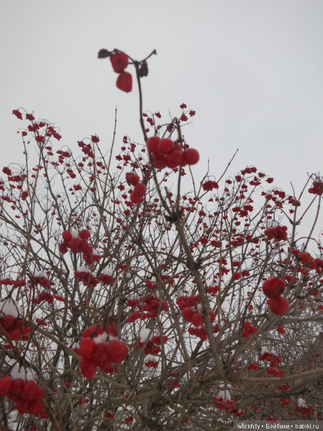 У природы нет плохой погоды...на прогулке