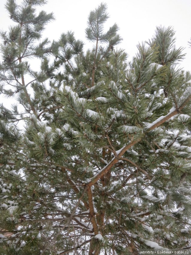 У природы нет плохой погоды...на прогулке