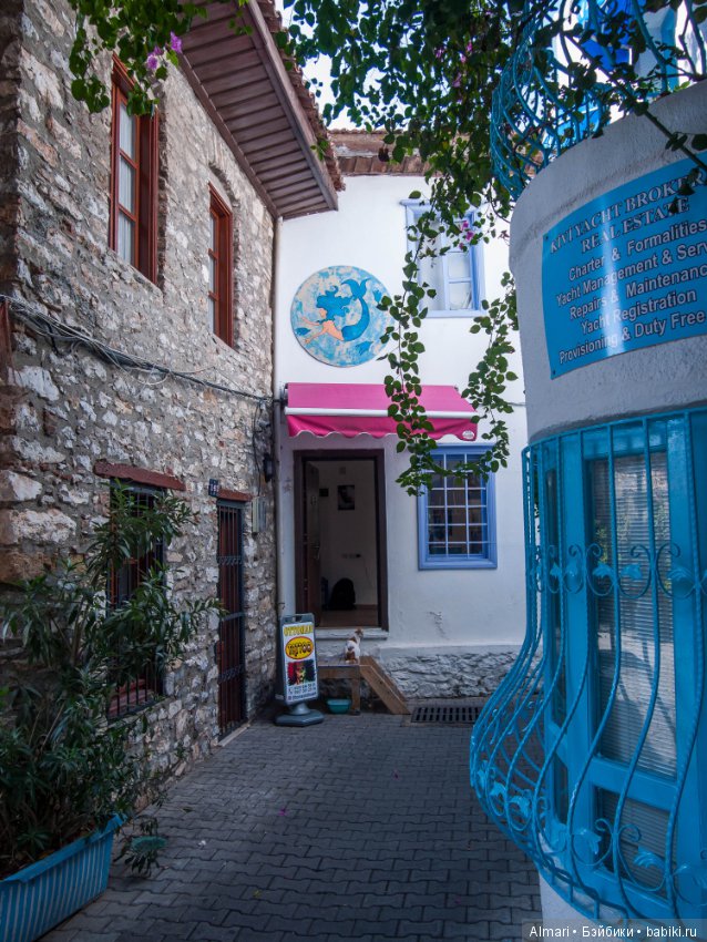 Пргулка в розово голубых тонах (фото 2)