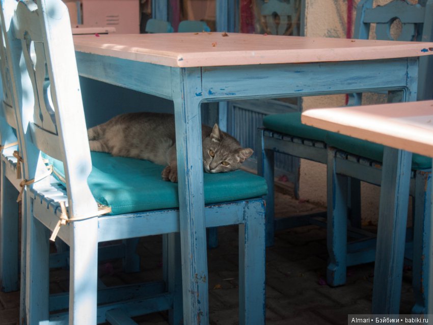 Пргулка в розово голубых тонах