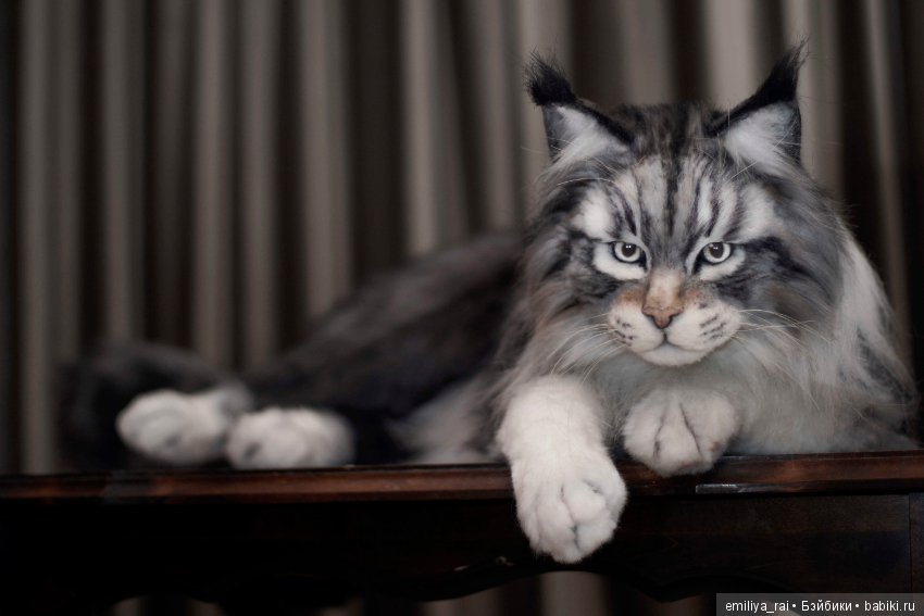 Мейн Кун подвижная игрушка 70 см (фото 6)