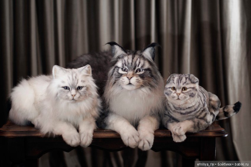 Мейн Кун подвижная игрушка 70 см