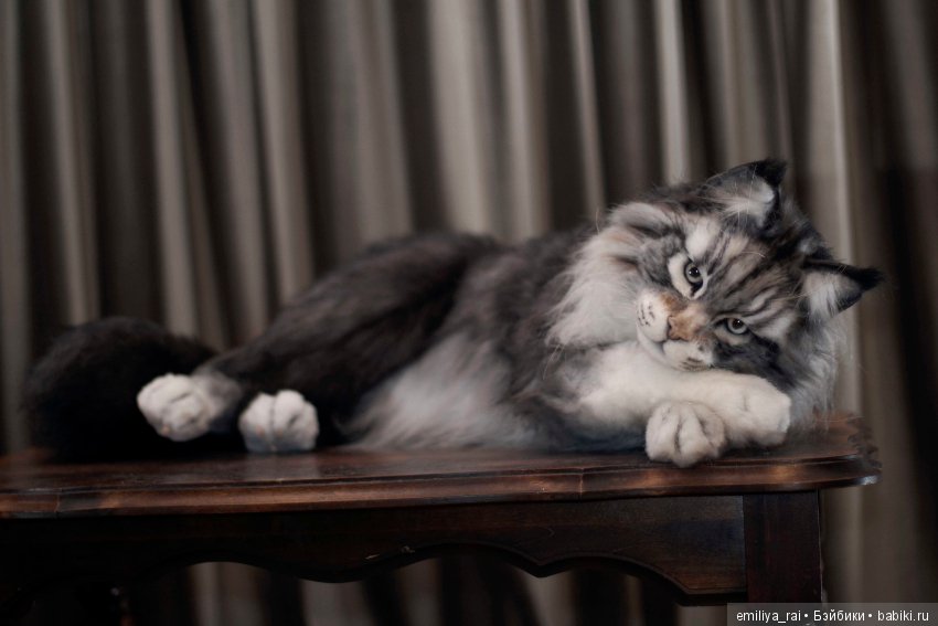 Мейн Кун подвижная игрушка 70 см (фото 8)