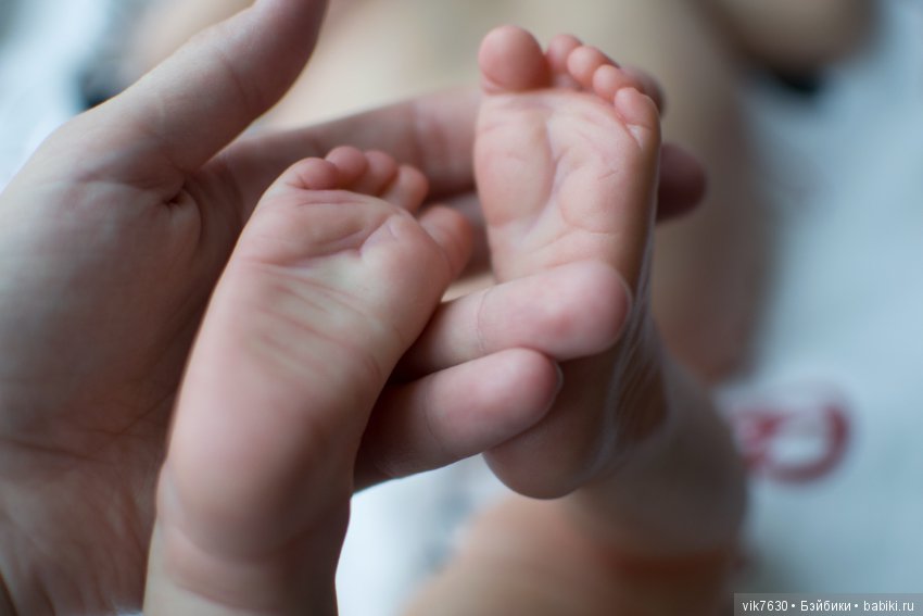 Gertie в процессе возрождения