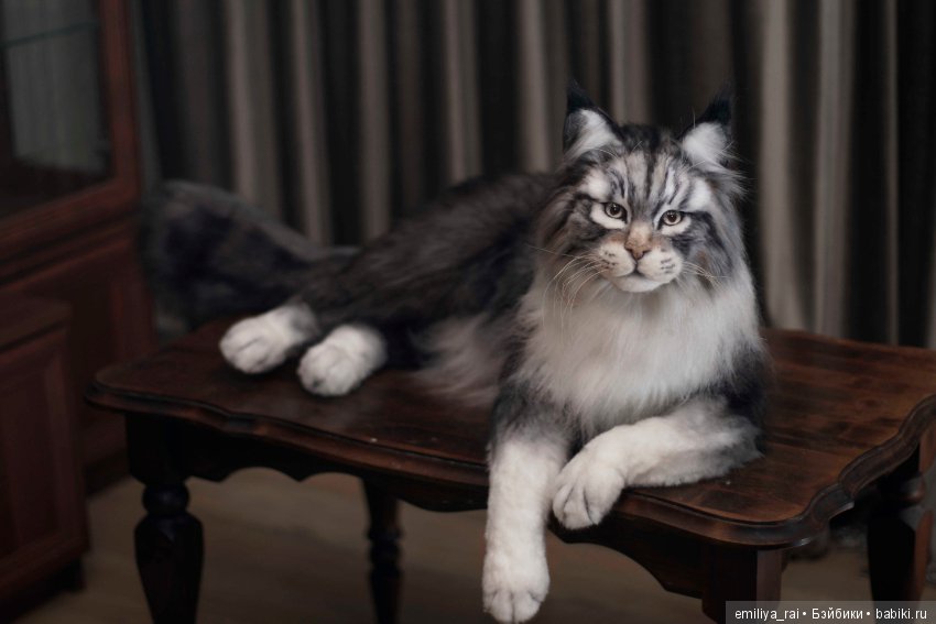 Мейн Кун подвижная игрушка 70 см (фото 2)