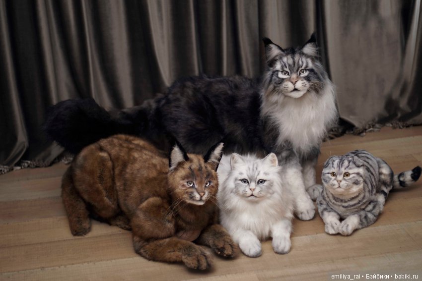 Мейн Кун подвижная игрушка 70 см