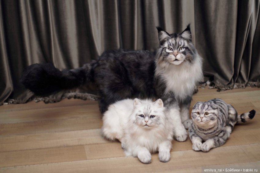 Мейн Кун подвижная игрушка 70 см