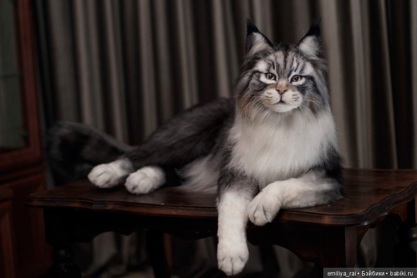 Мейн Кун подвижная игрушка 70 см (фото 3)