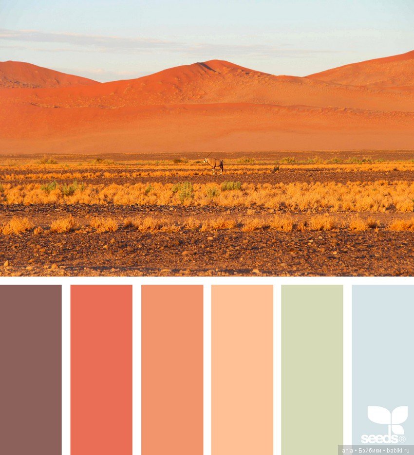 Пустынный цвет