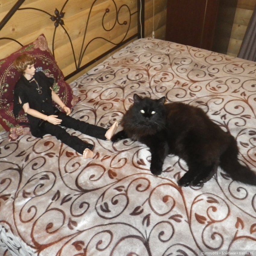 О моем БЖД парне и о чудесах. Шейн от Иплхаус. Часть 1