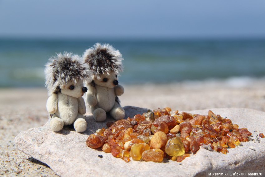 Как мы с ежатами янтарь собирали (фото 5)