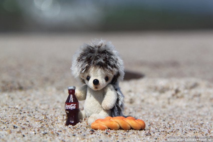 Как мы с ежатами янтарь собирали