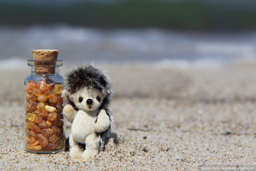 Как мы с ежатами янтарь собирали