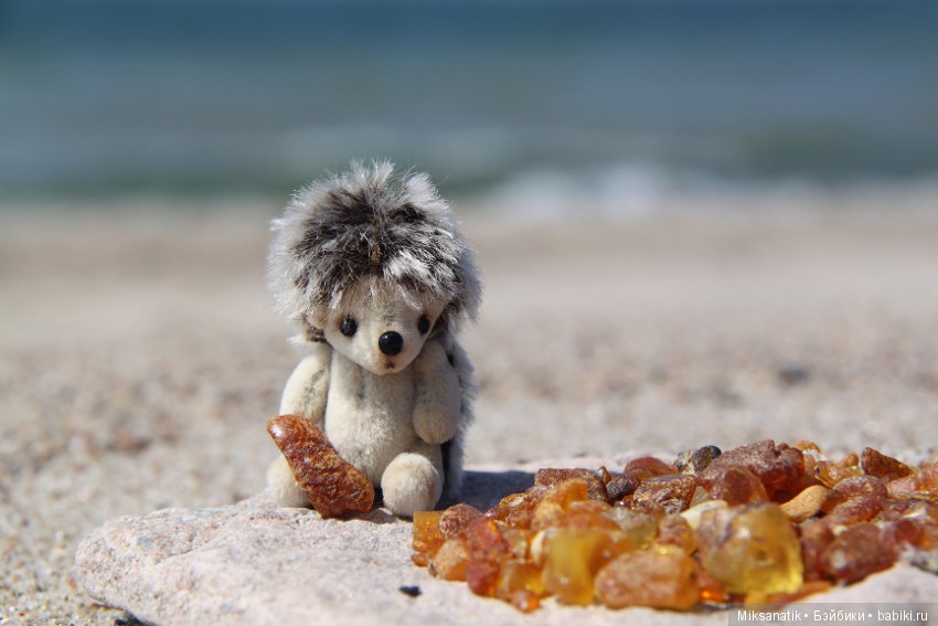 Как мы с ежатами янтарь собирали (фото 2)