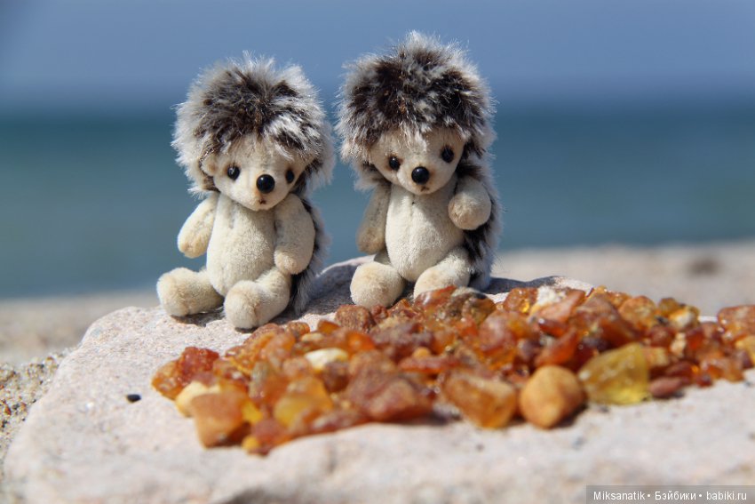 Как мы с ежатами янтарь собирали (фото 7)