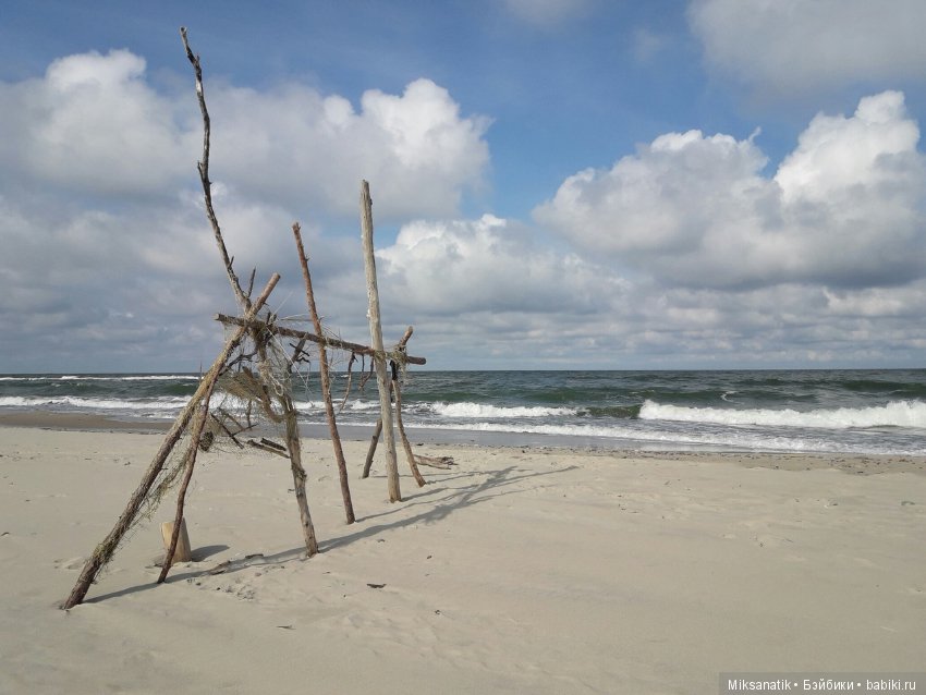 Как мы с ежатами янтарь собирали