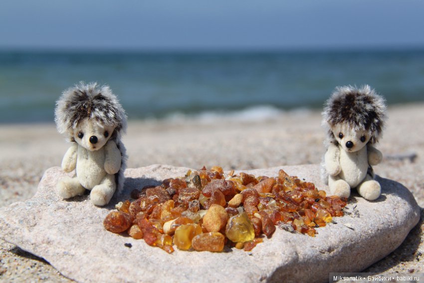 Как мы с ежатами янтарь собирали (фото 4)