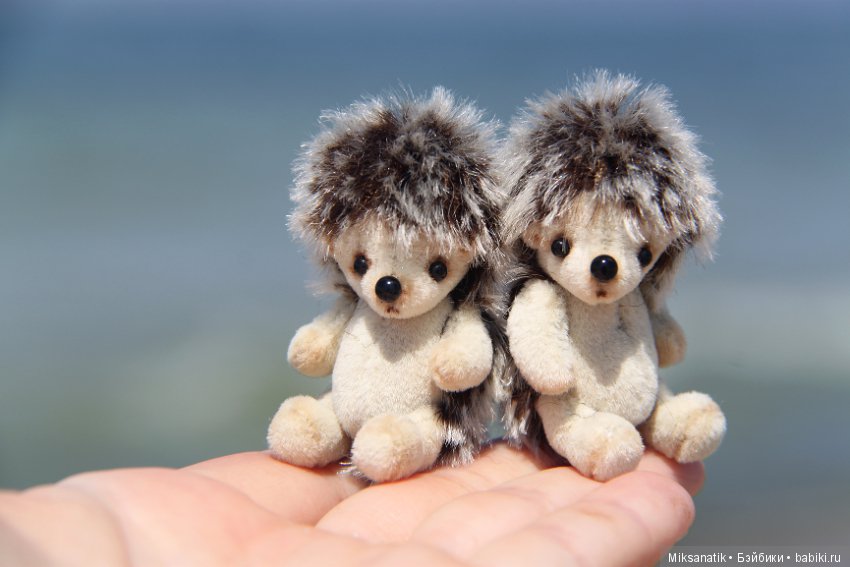 Как мы с ежатами янтарь собирали