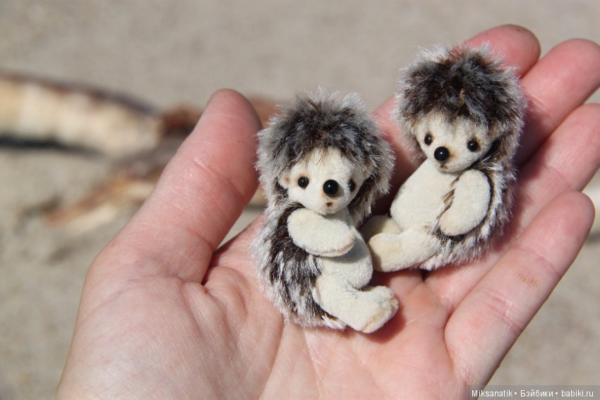 Как мы с ежатами янтарь собирали (фото 10)