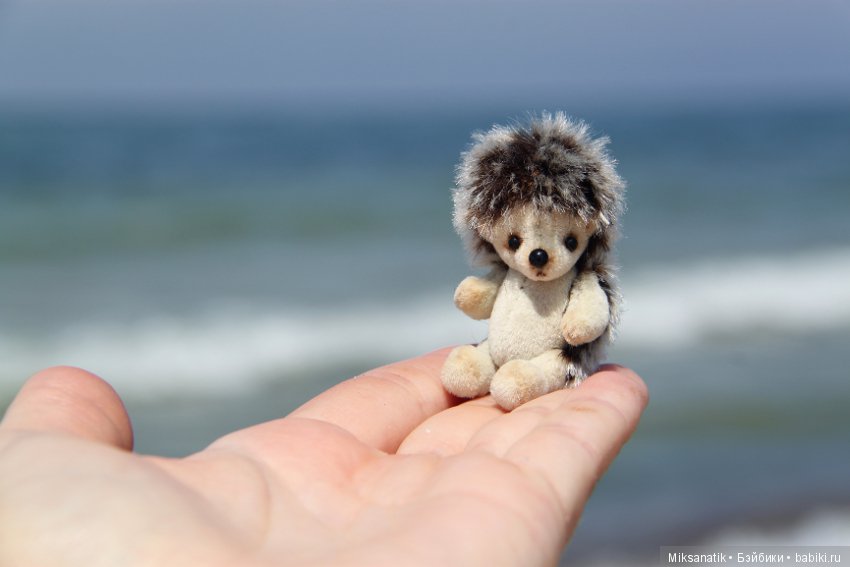 Как мы с ежатами янтарь собирали (фото 9)