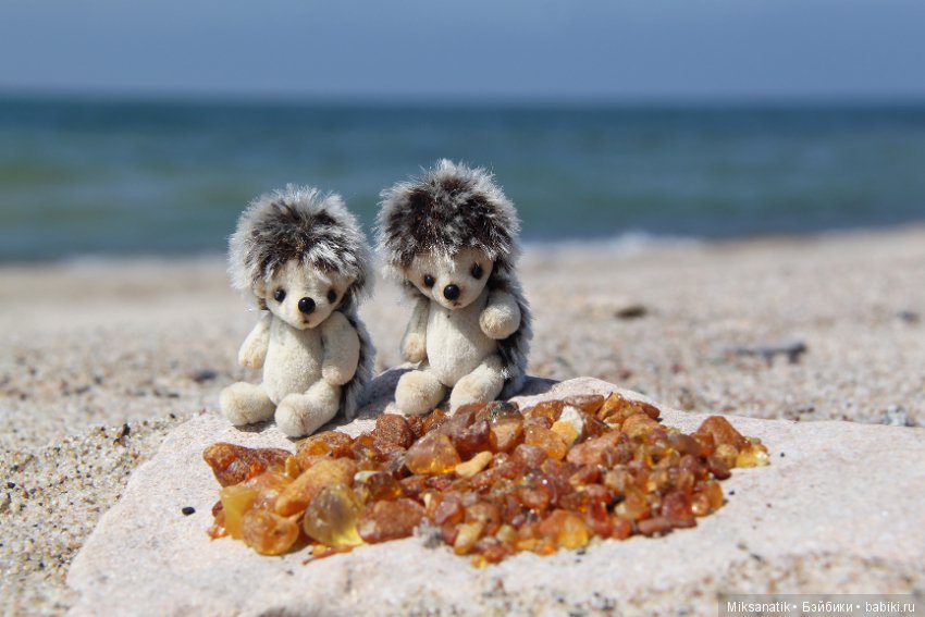 Как мы с ежатами янтарь собирали (фото 6)