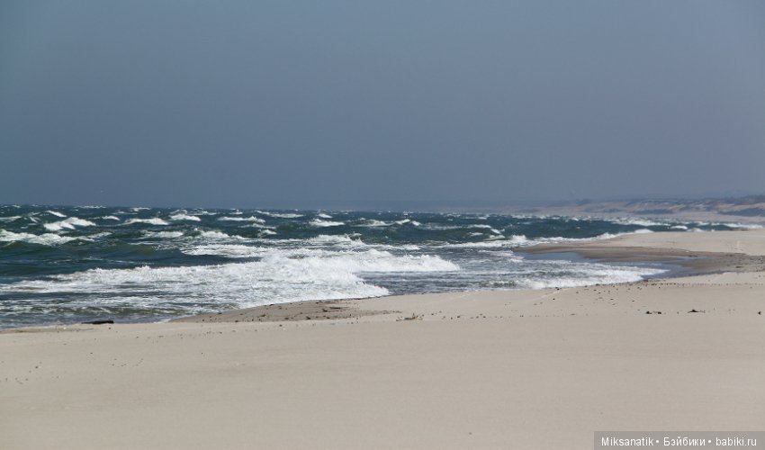 Медвежата и море — Авторские мишки Тедди и друзья: фото