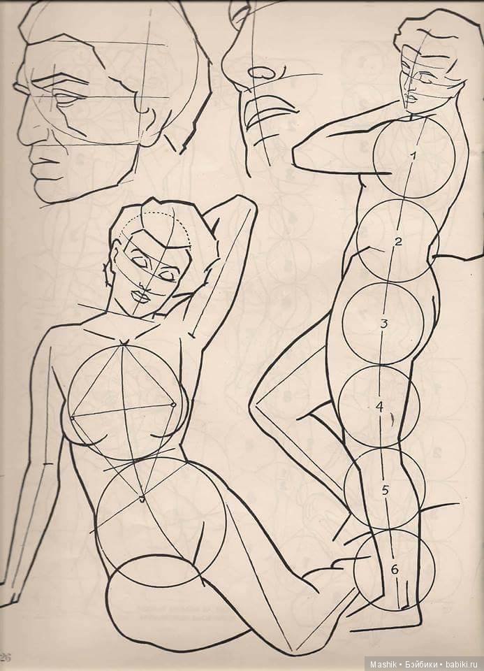 В помощь скульптору: Пропорции человека