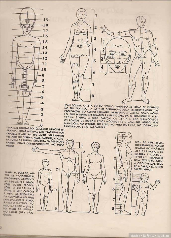 В помощь скульптору: Пропорции человека (фото 2)