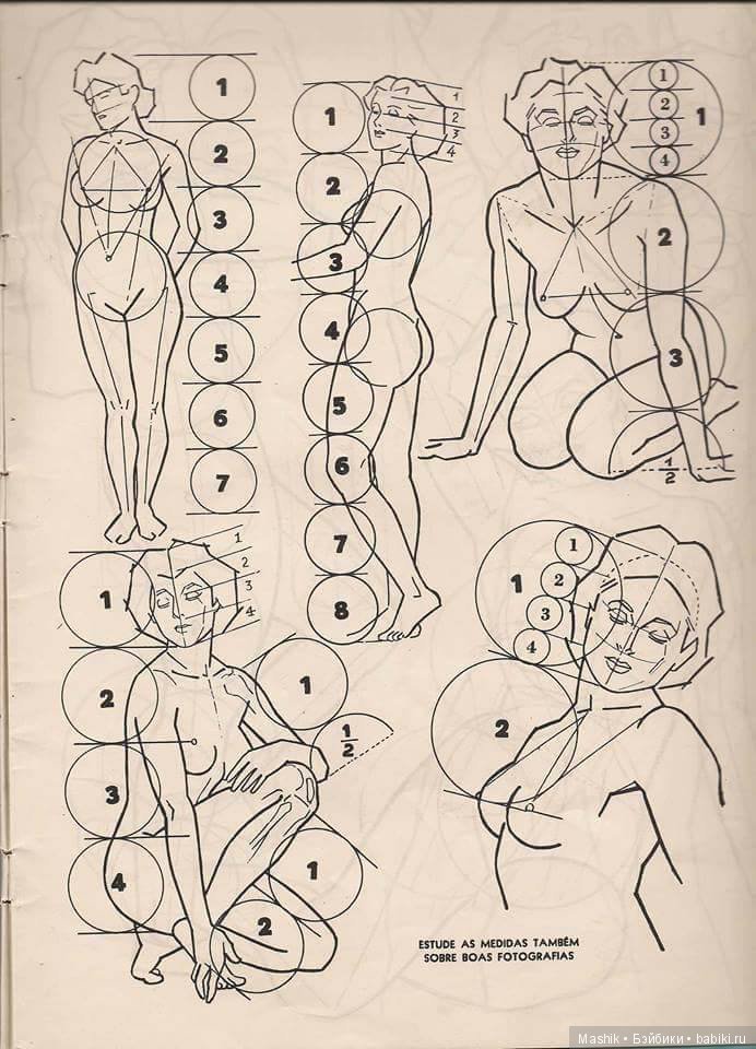 В помощь скульптору: Пропорции человека (фото 4)