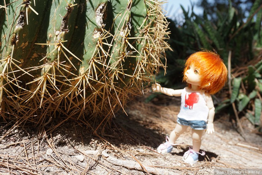 С возвращением на Бэйбики меня (фото 3)