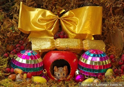 Мини - деревня для мышей — В мире животных: смешные фото питомцев и зверей (фото 3)