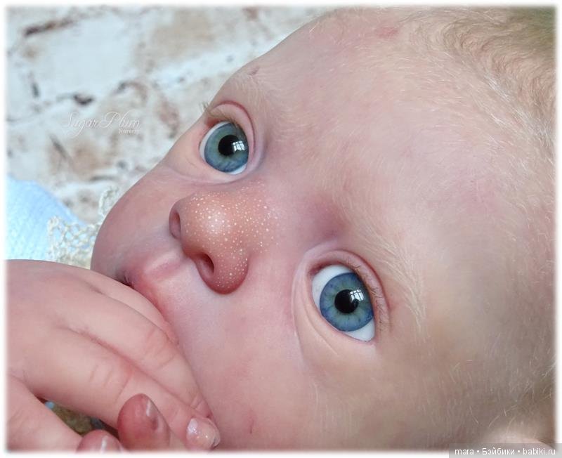 Marie скульптора Evelina Wosnjuk, автор куклы Sugar Plum Nursery