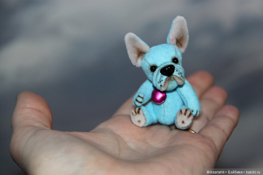 Преданней собаки нету существа