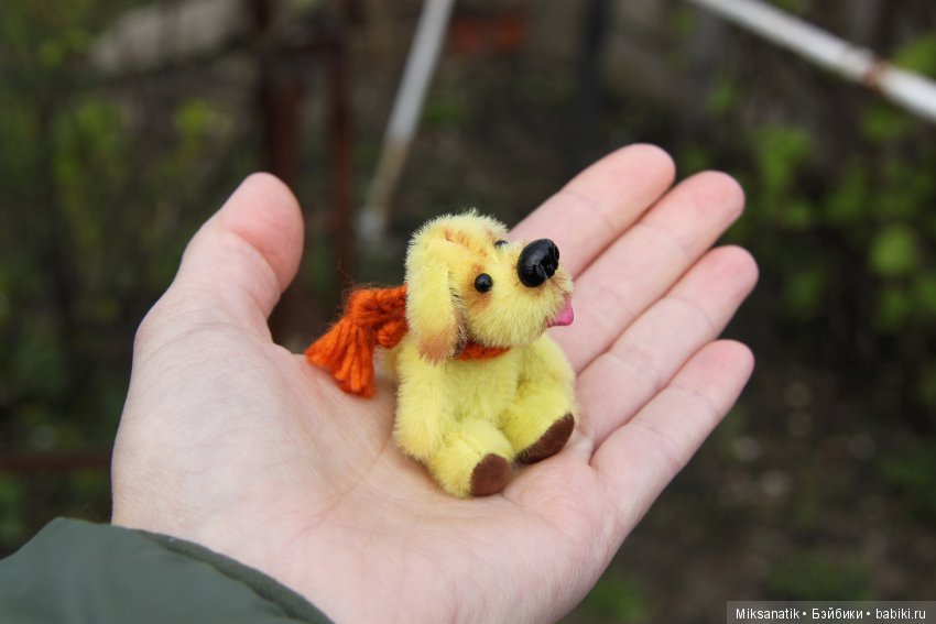 Преданней собаки нету существа