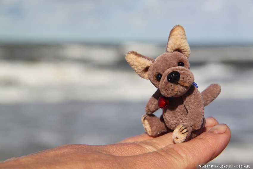 Преданней собаки нету существа