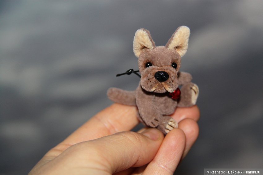 Преданней собаки нету существа (фото 6)