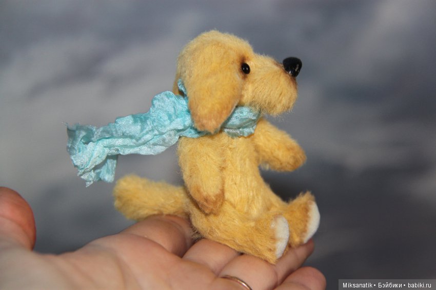 Преданней собаки нету существа